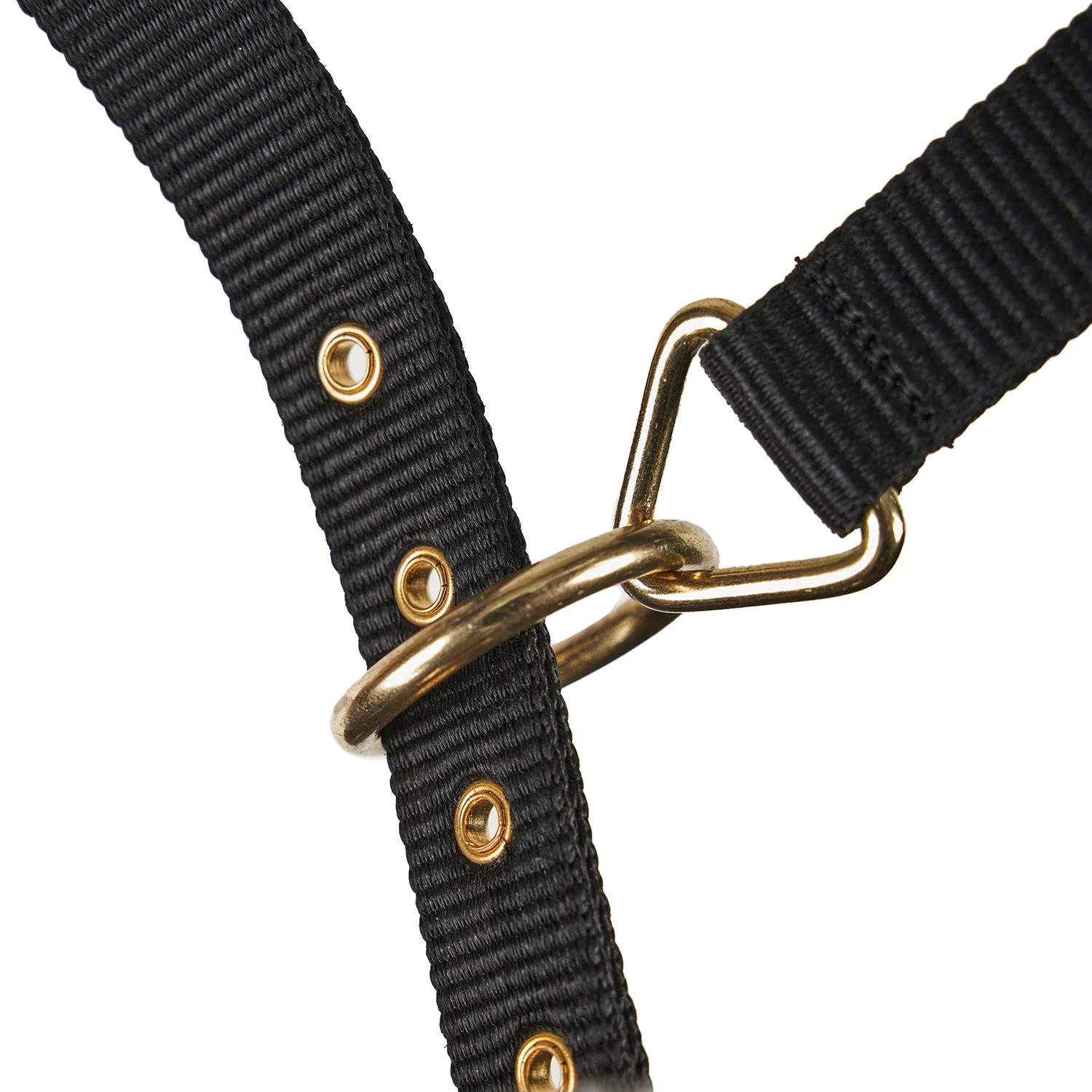 Arma Fleece Lined Lunge Cavesson – Adjustable Nylon Training Cavesson for Horses - Image 3