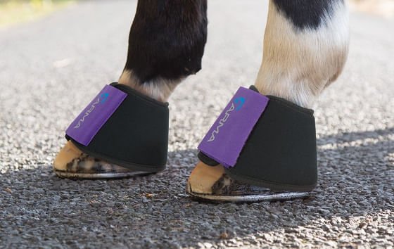 Arma Neoprene Overreach Bell Boots for Horses - Image 2