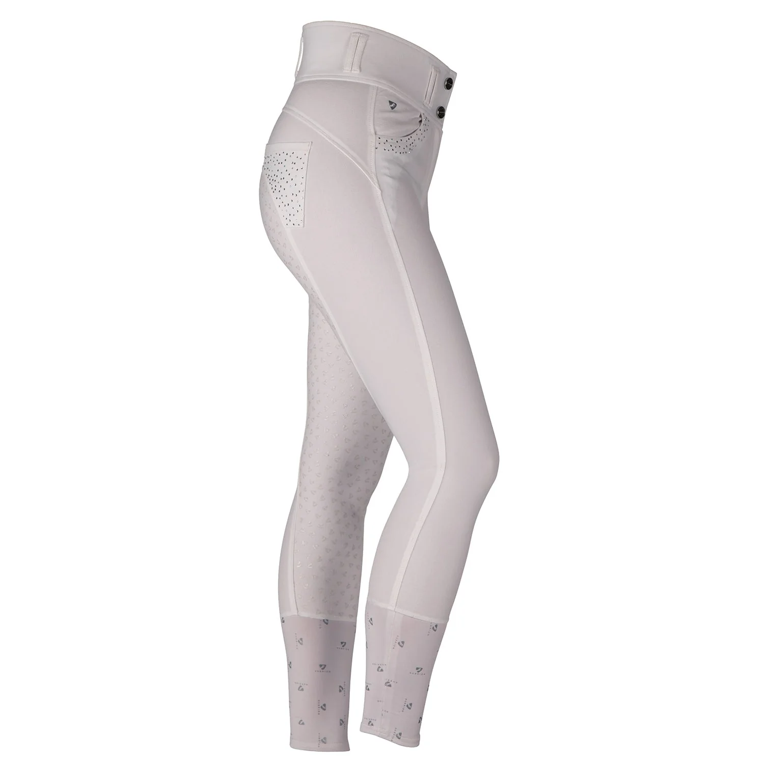 Aubrion Ladies Queensway Breeches - Image 3