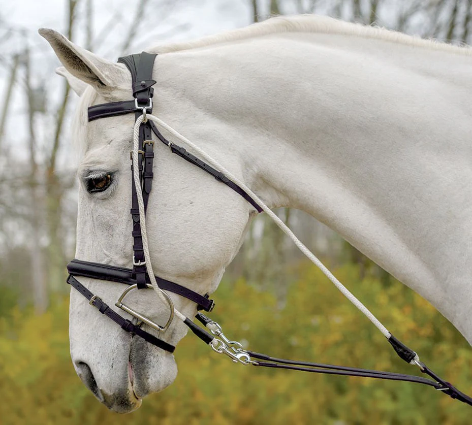 Avignon De Gogue Training Aid - Image 1