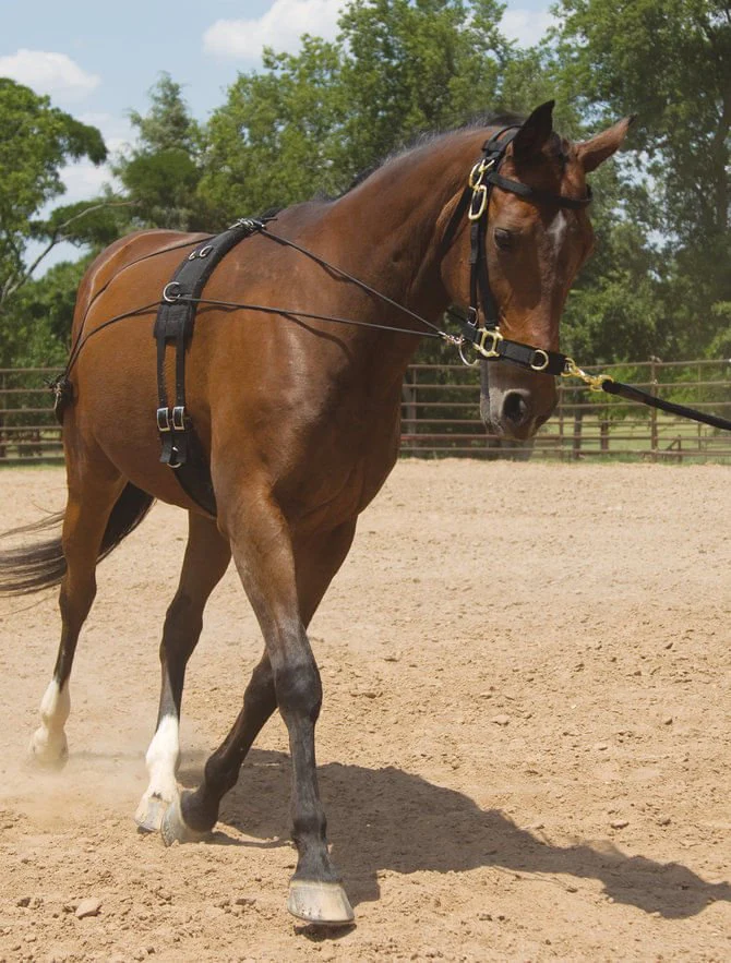 Balanced Training Set - Image 1