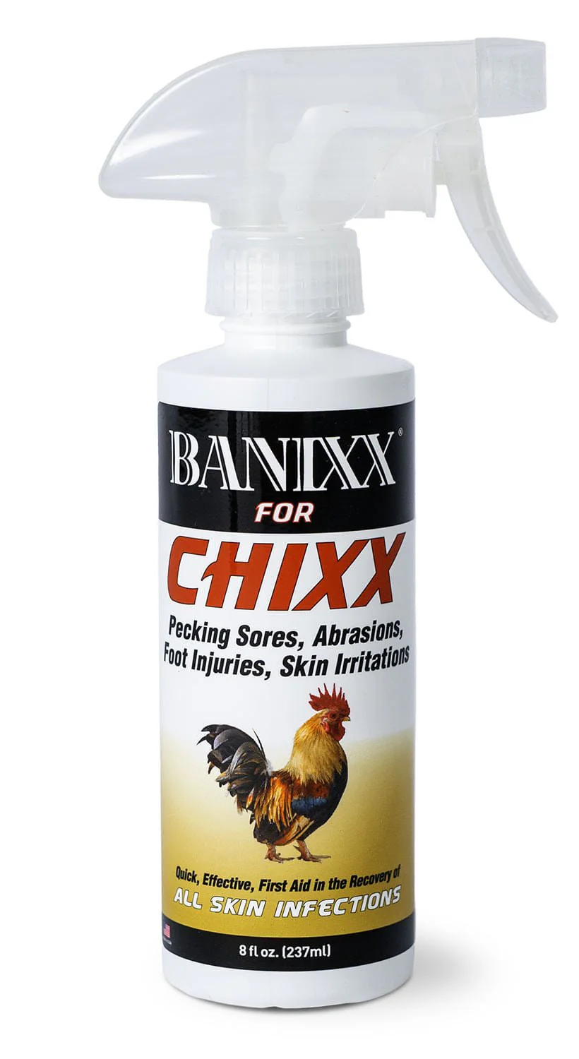 Banixx for Chixx – Antibacterial & Antifungal First Aid Wound Spray for Chickens & Poultry