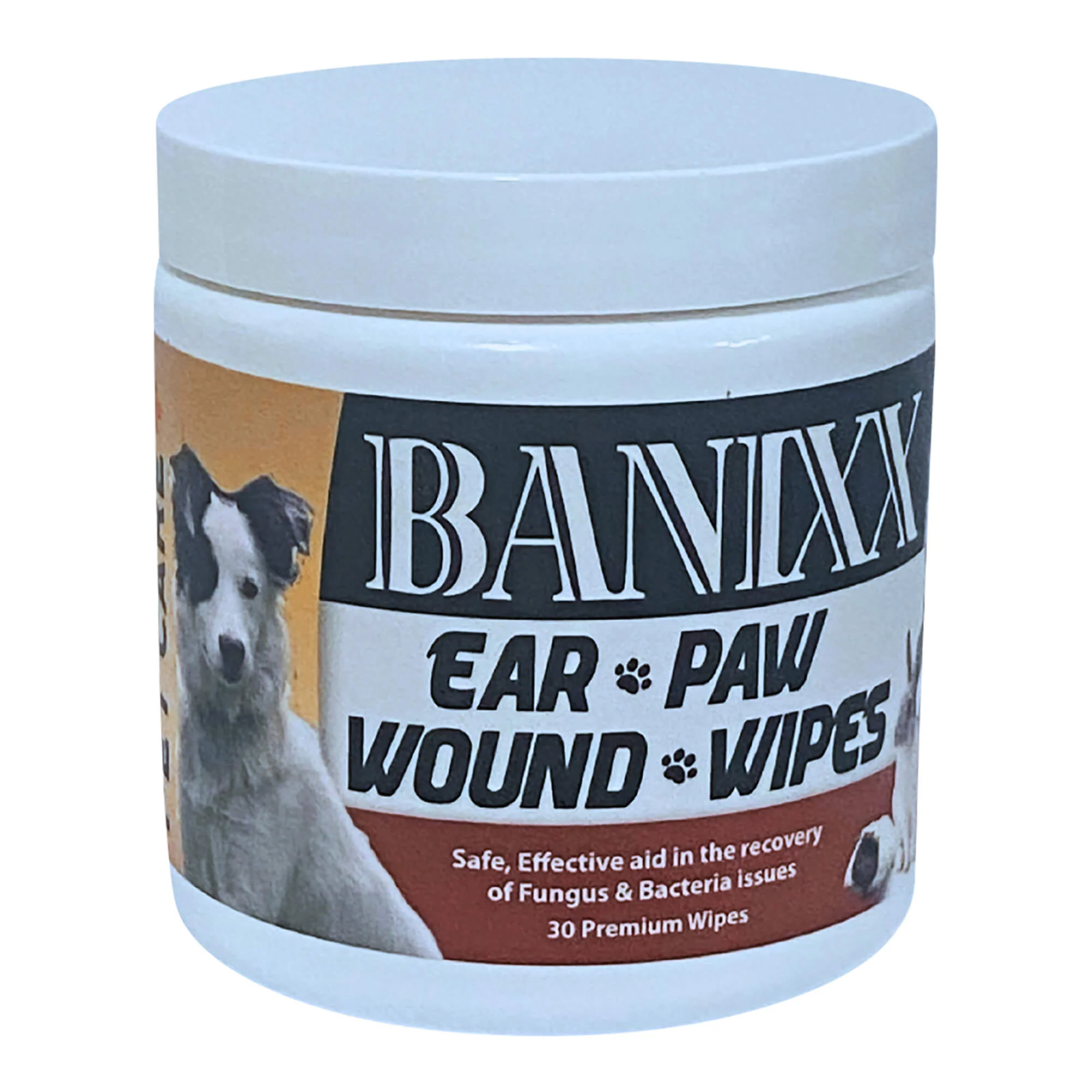 Banixx Pet Care Ear Paw & Wound Wipes, 30 ct - Image 1