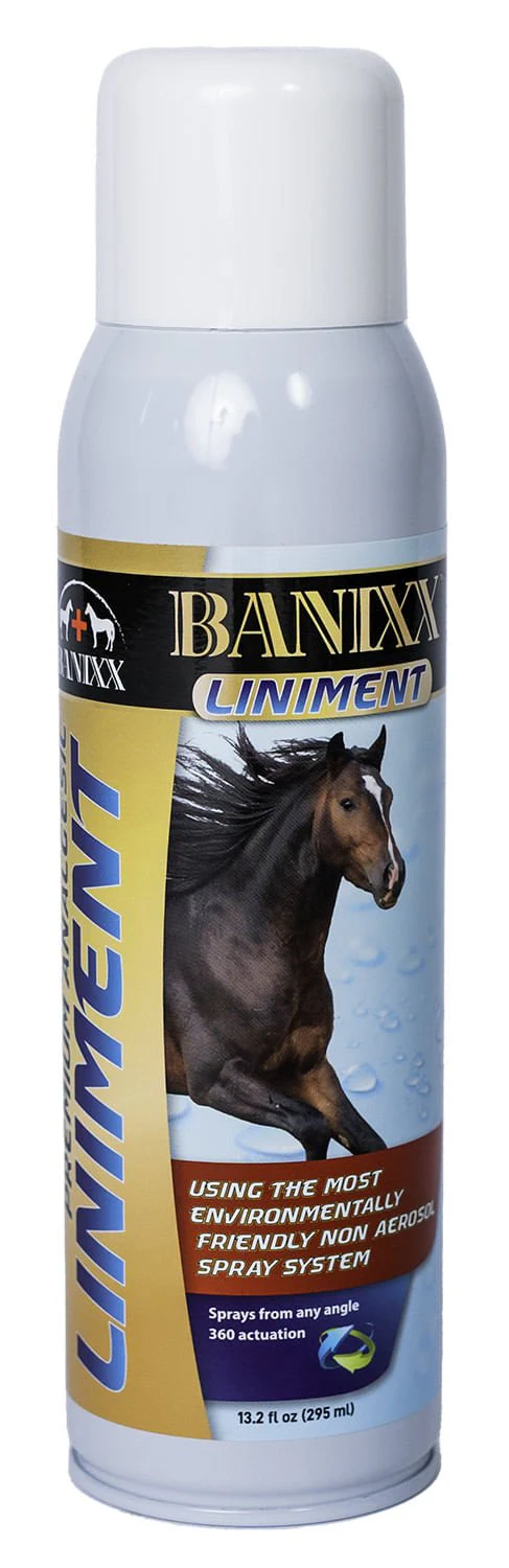 Banixx Premium Spray Liniment - Image 1