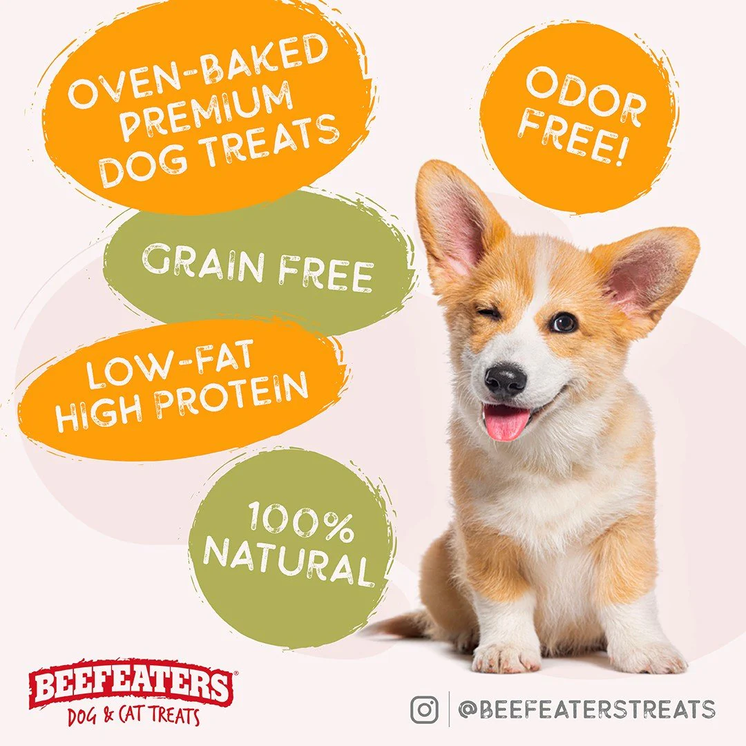 Beefeaters Twist Sticks, Rawhide Free, Oven Baked Dog Treats - Peanut Butter Flavored - Image 3