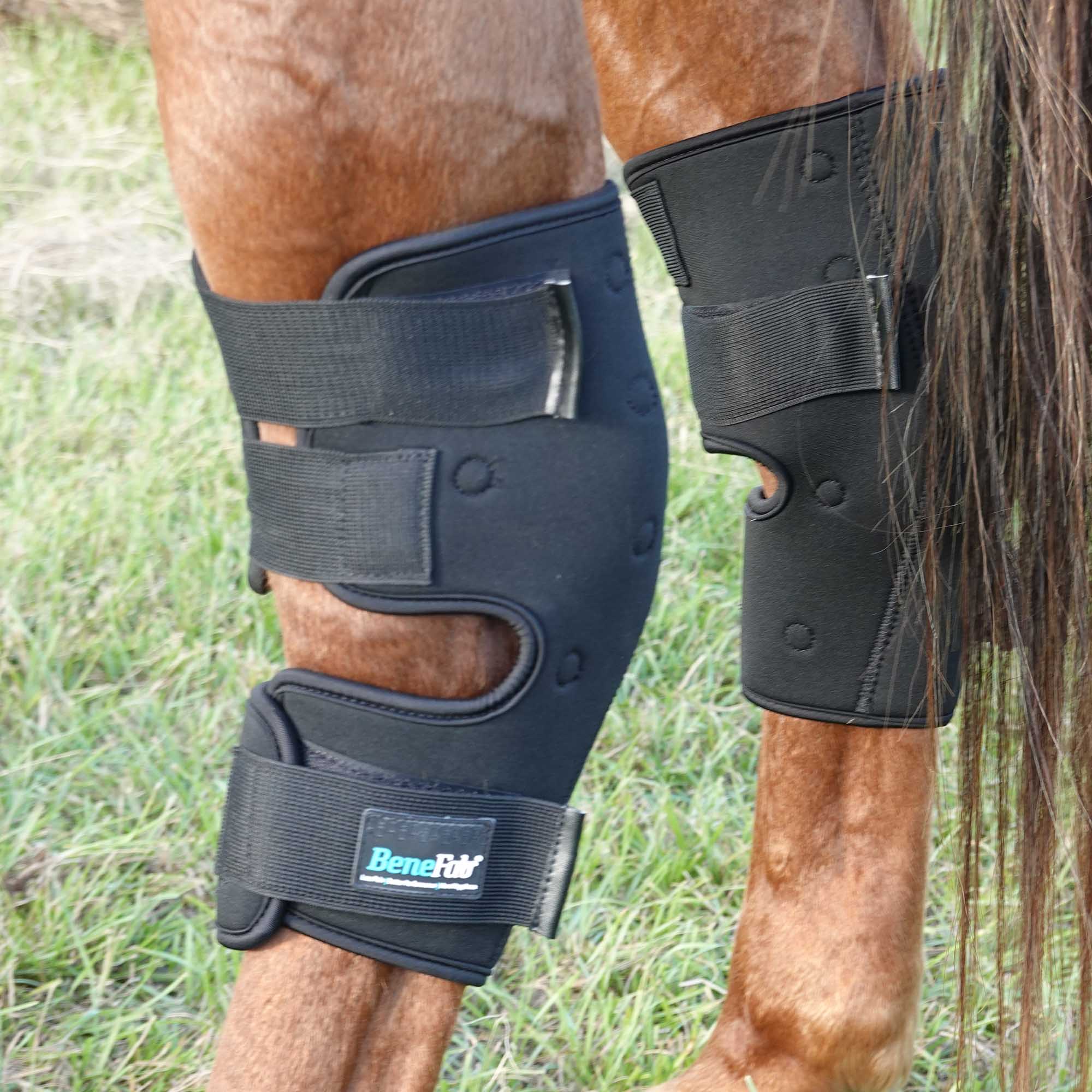 BeneFab Rejuvante Smart Hock Boots for Horses - Image 2