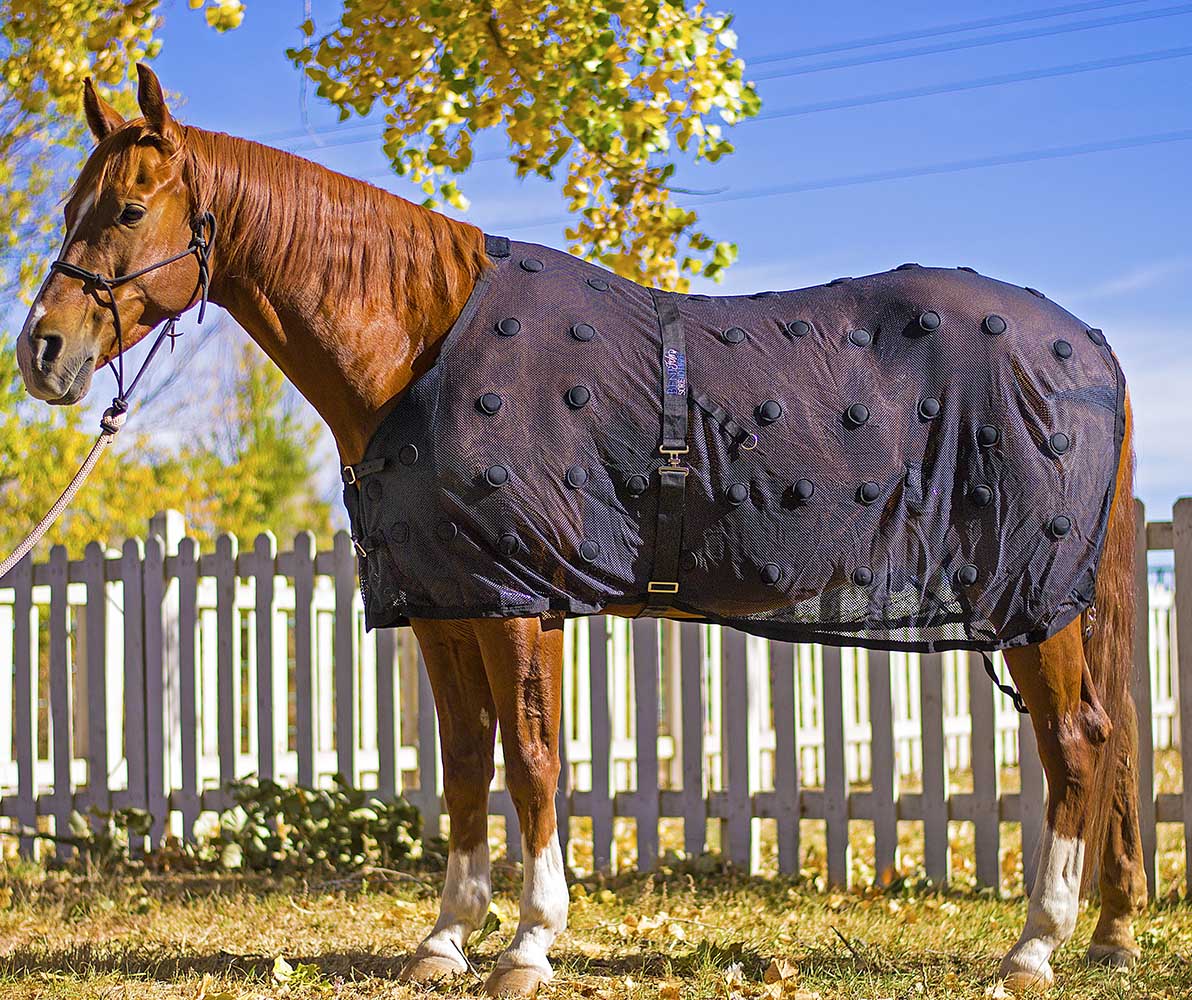 BeneFab Rejuvenate Magnetic Horse Therapy SmartScrim, Black - Image 1