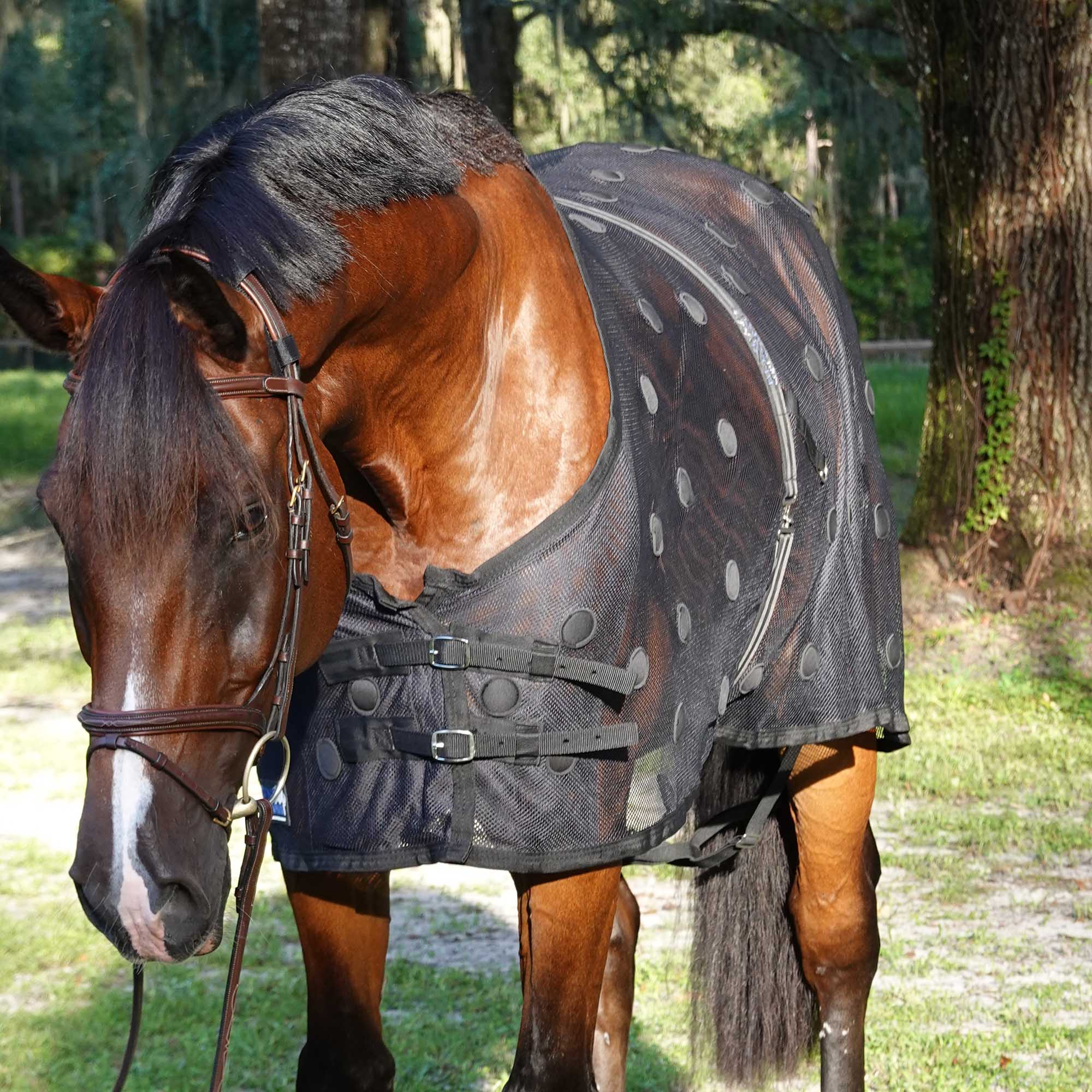 BeneFab Rejuvenate Magnetic Horse Therapy SmartScrim, Black - Image 2