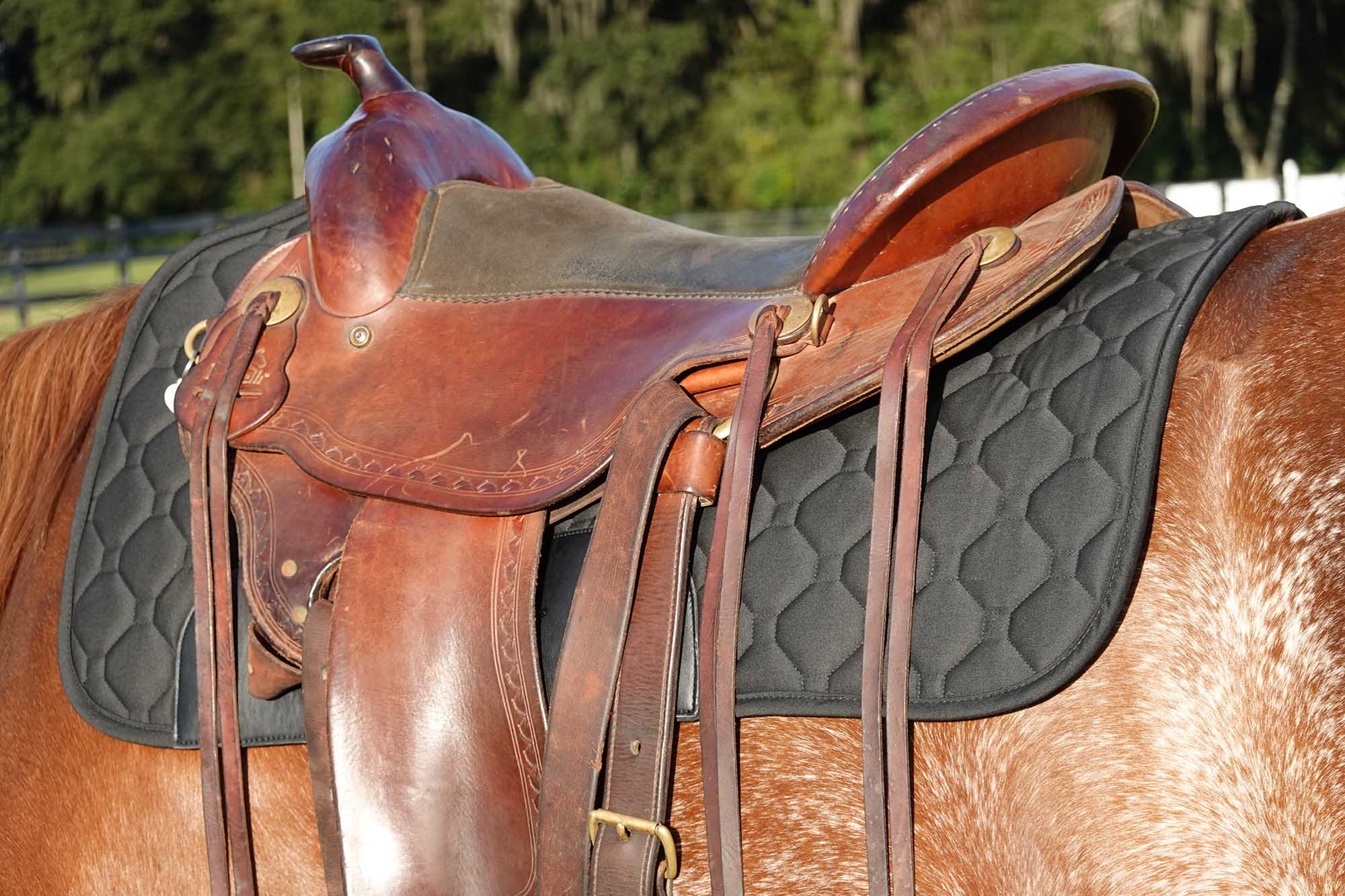 BeneFab Therapeutic Western Saddle Pad - Image 2