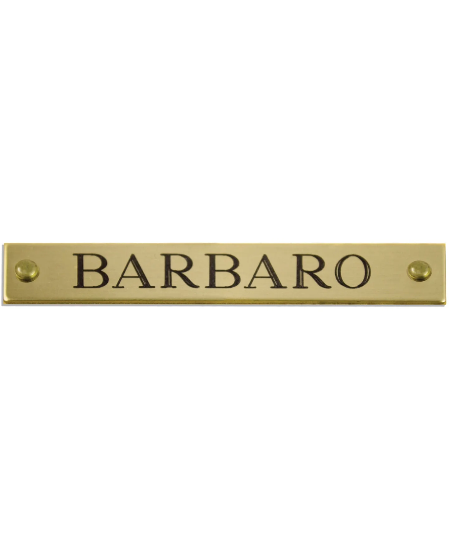 Personalized Engraved Beveled Brass Halter Plates - Image 1