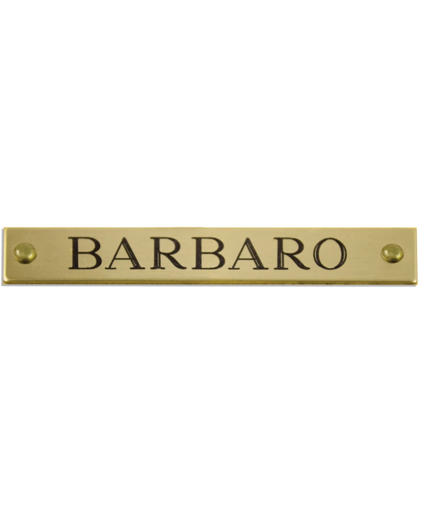 Personalized Engraved Beveled Brass Halter Plates - Image 2