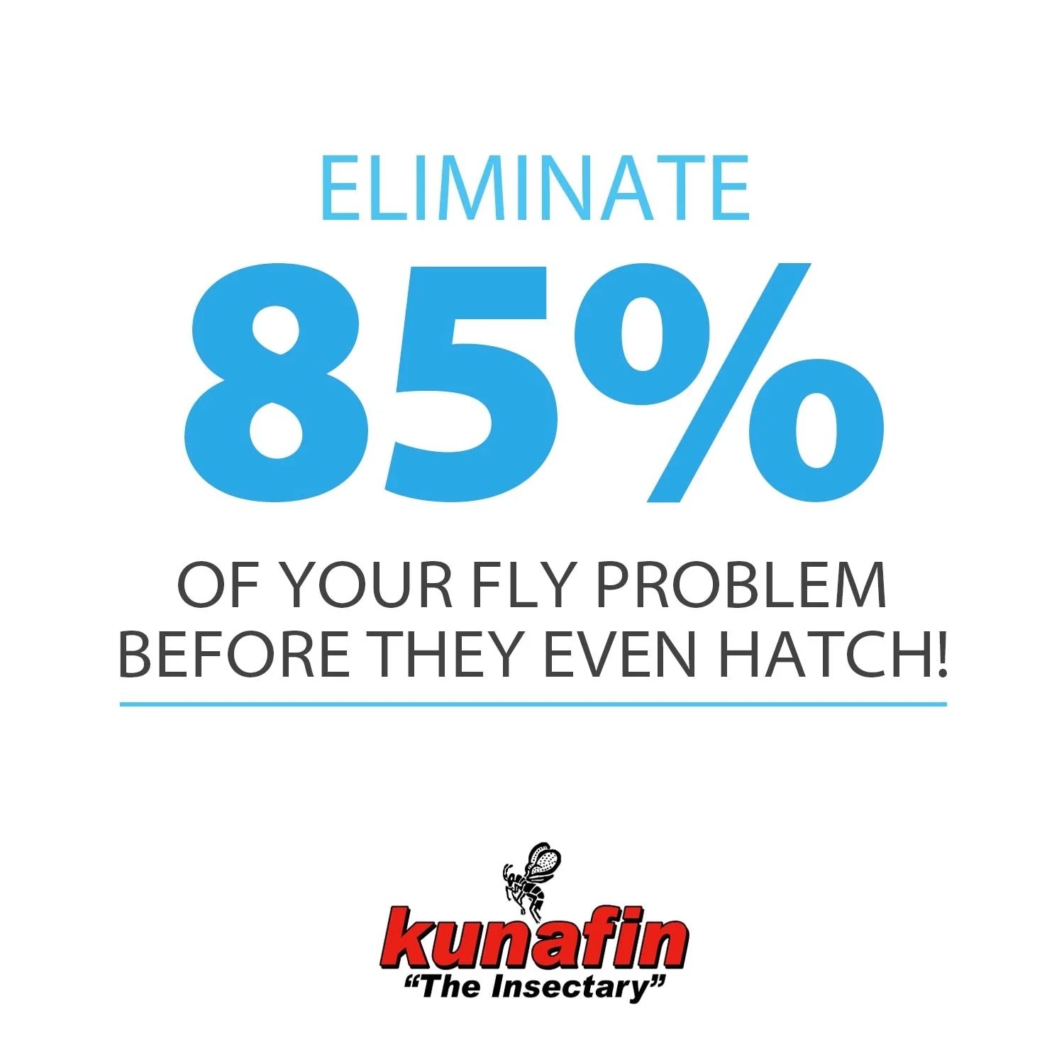 Biological Fly Control by Kunafin - Image 2