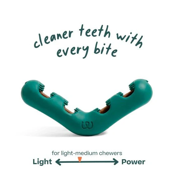 Bite n’ Brush Dog Dental Chew Toy & Treat Refills– Self-Cleaning, Teeth & Gum Care, Plaque & Tartar Remover - Image 2