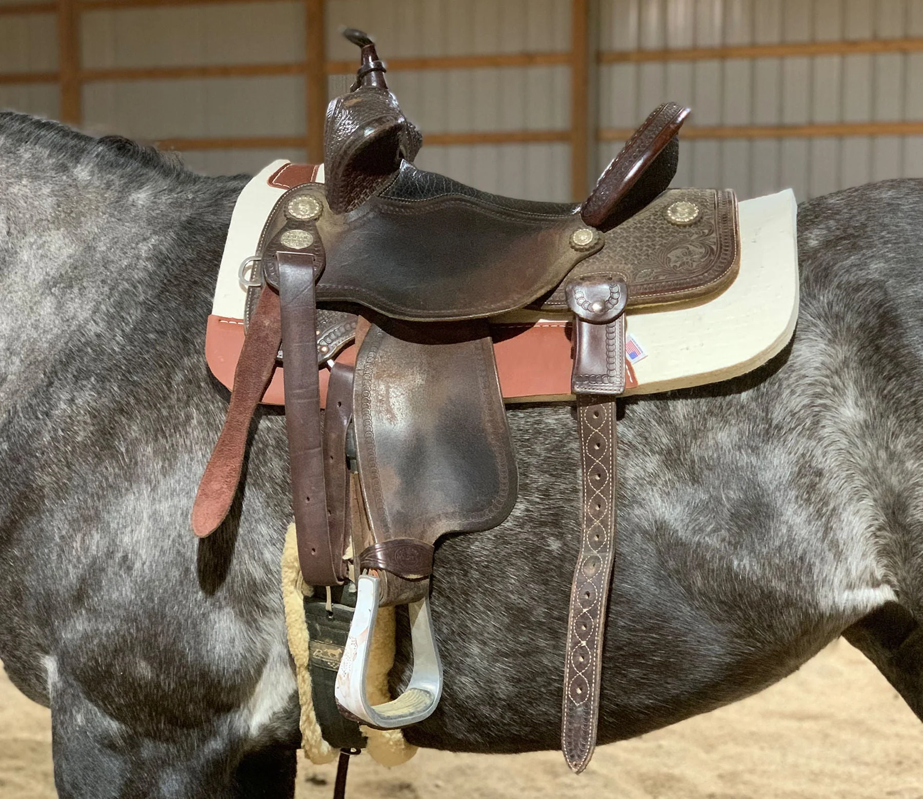 Blue Horse 100% Pressed Wool Contoured Saddle Pad - Image 2