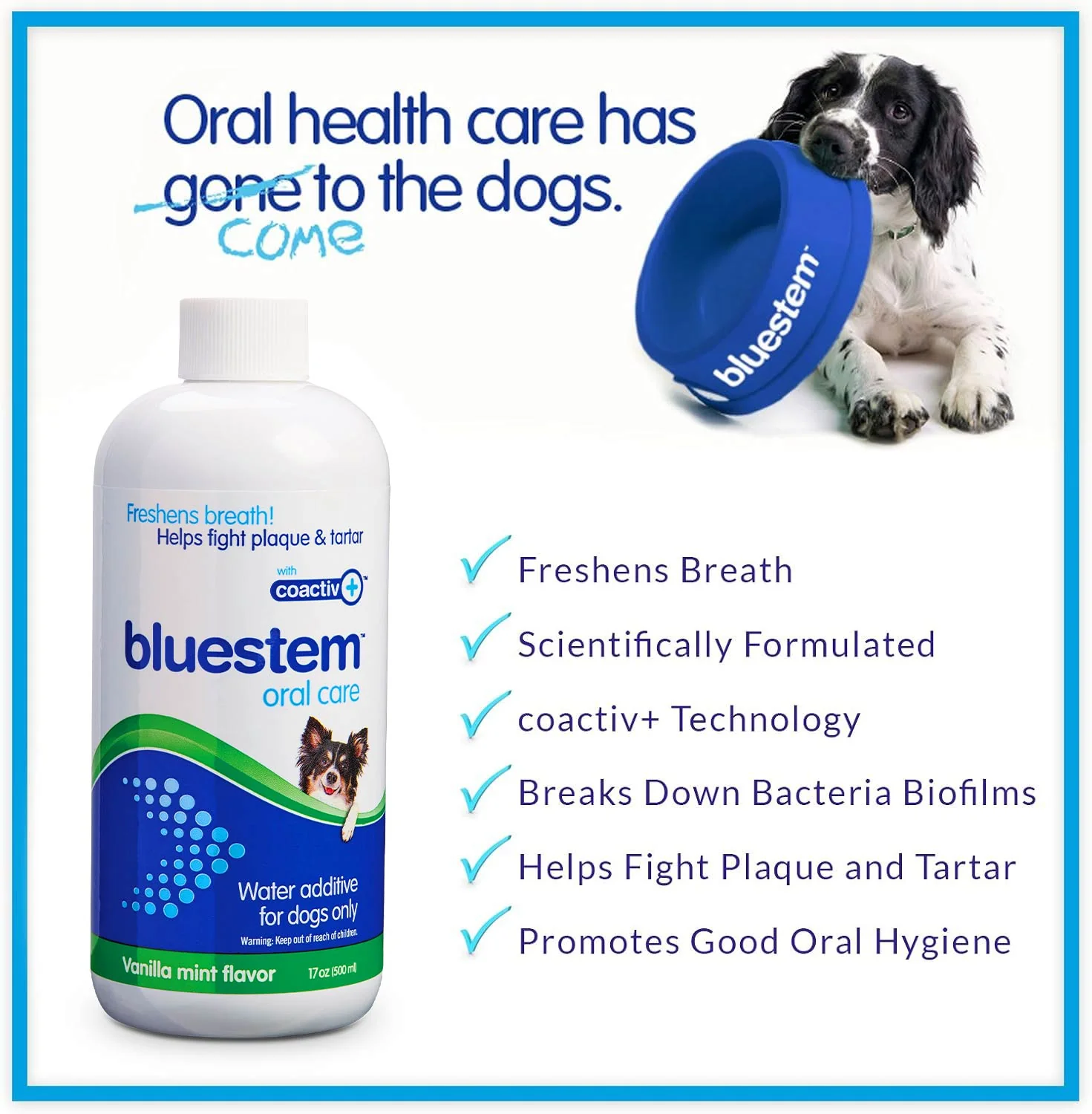 bluestem Water Additive for Dogs Only, Vanilla-Mint, 17 fl oz - Image 3