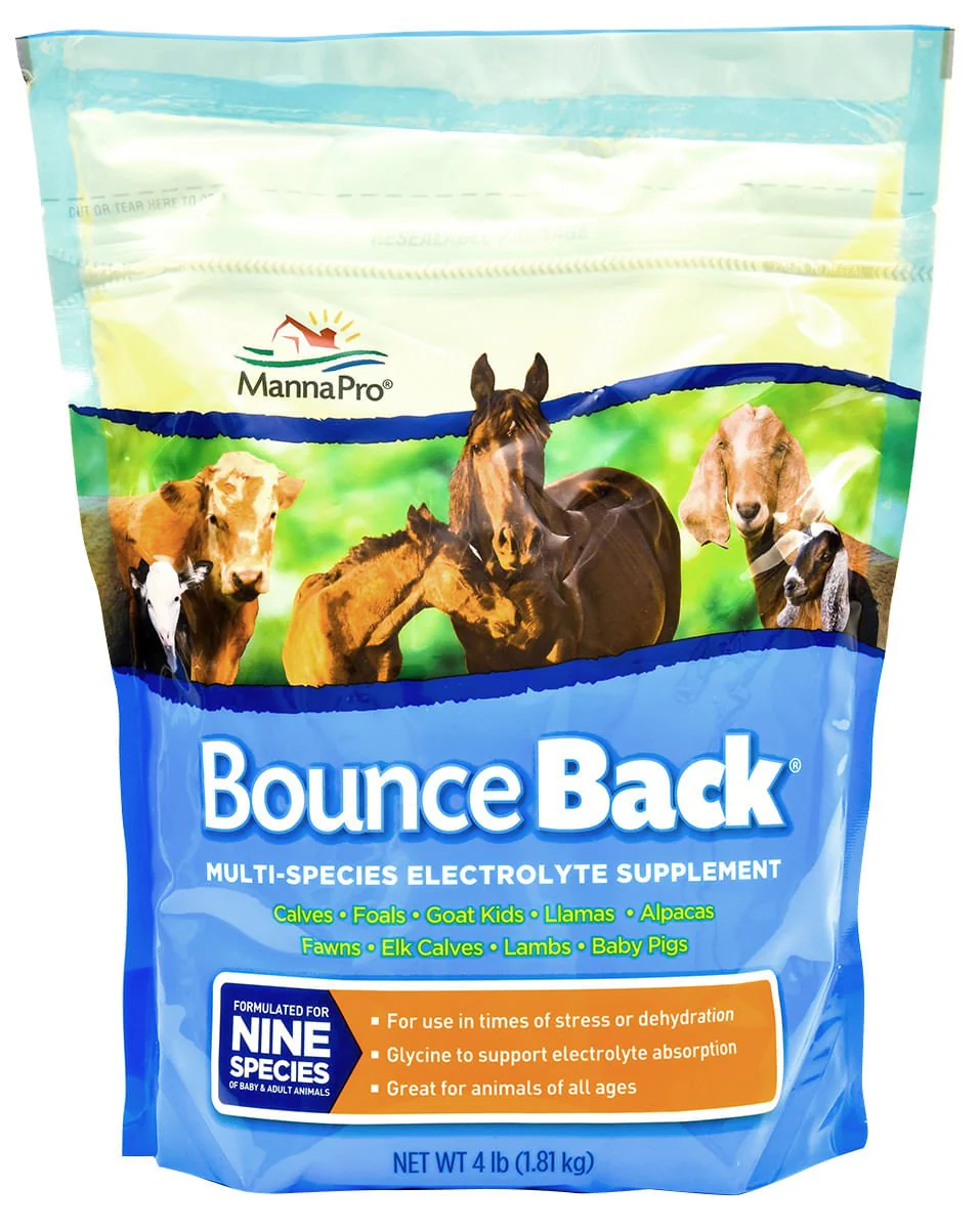Bounce Back® Multi-Species Electrolyte Supplement - Image 1