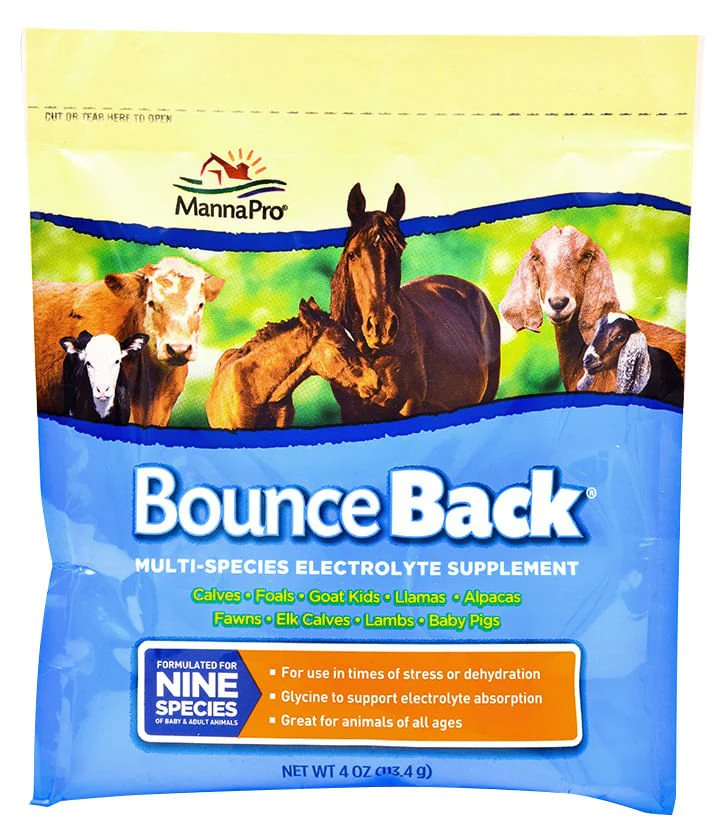 Bounce Back® Multi-Species Electrolyte Supplement - Image 3