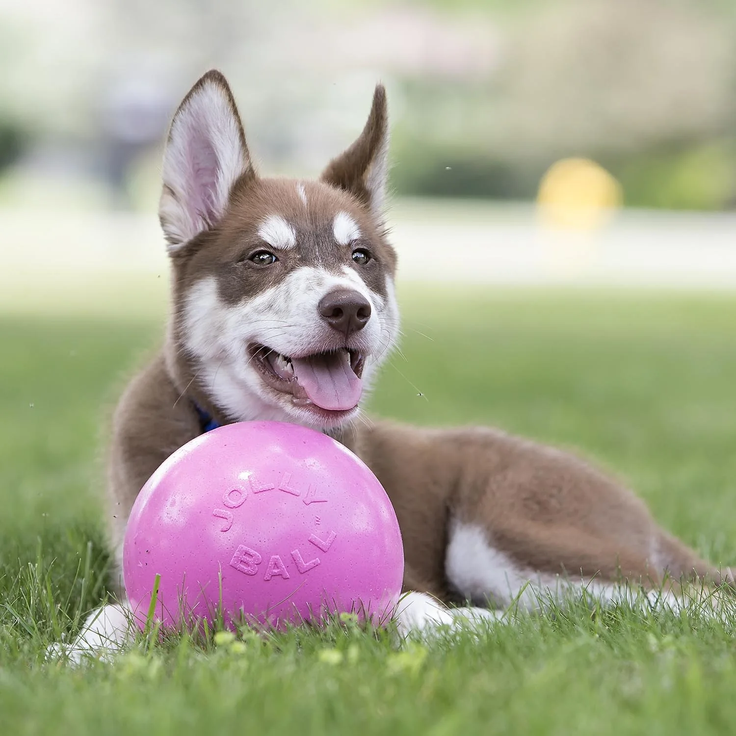 Bounce-N-Play Jolly Ball Durable Floating Dog Toy, Scented, Made in USA - Image 3