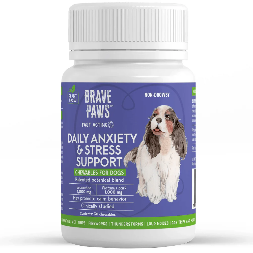 Brave Paws Anxiety & Stress Support Chewables for Dogs, Beef Flavored, 30 ct - Image 1