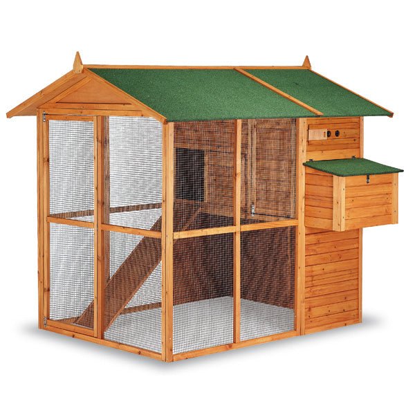Brussels Chicken Coop – Large Backyard Coop for Up to 15 Hens