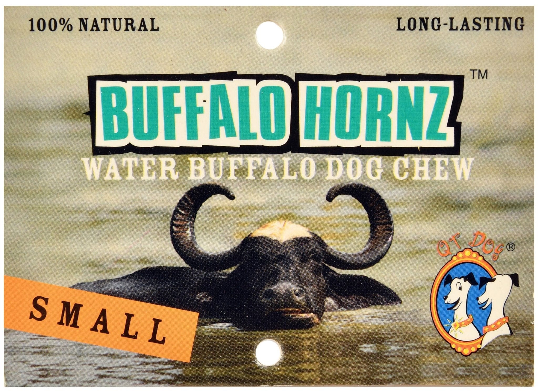 QT Dog Buffalo Hornz Natural Buffalo Horn Dog Chew - Image 2