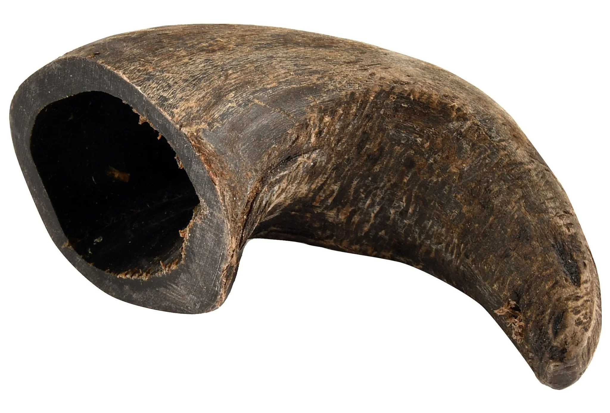 QT Dog Buffalo Hornz Natural Buffalo Horn Dog Chew - Image 1