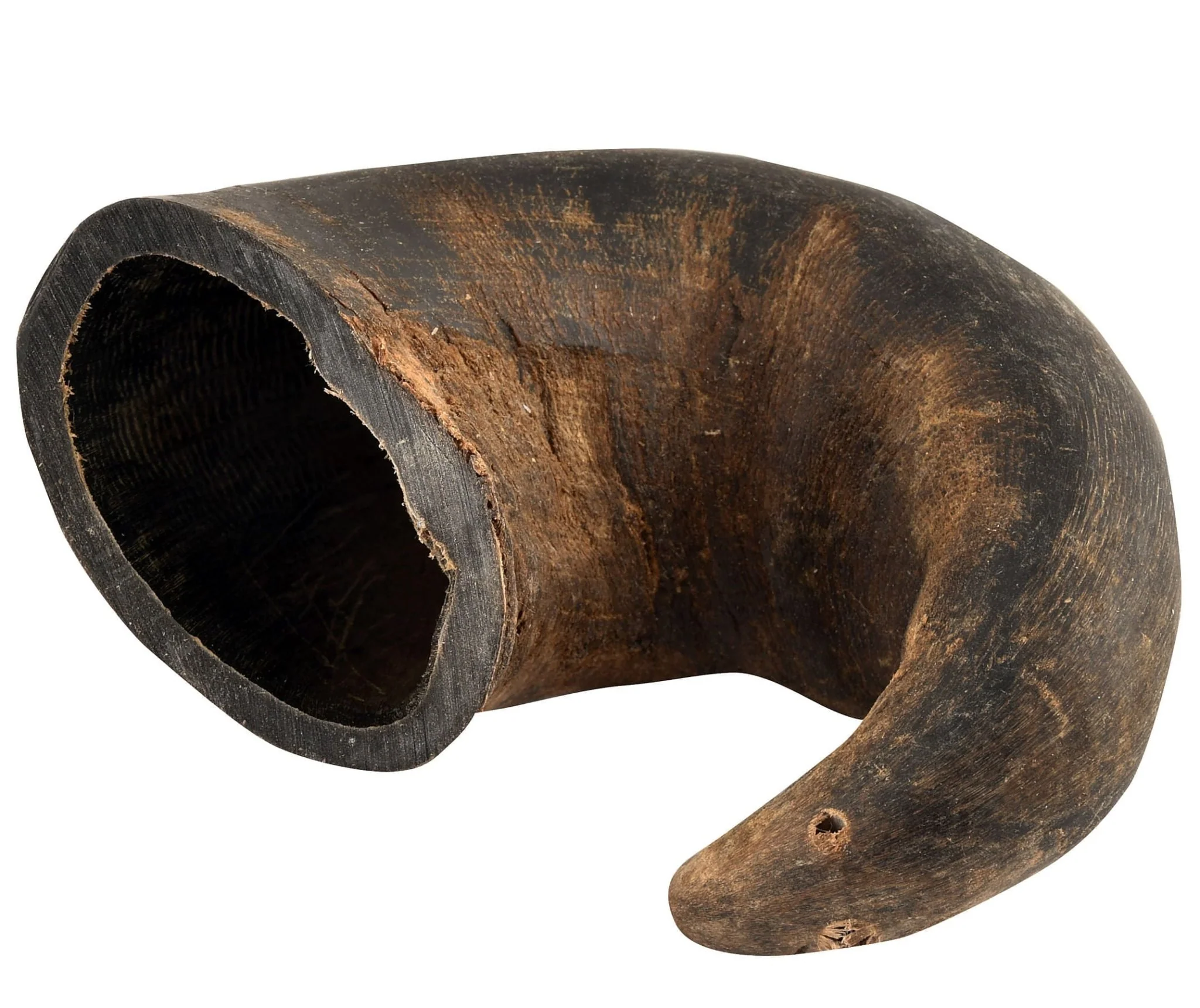 QT Dog Buffalo Hornz Natural Buffalo Horn Dog Chew - Image 3