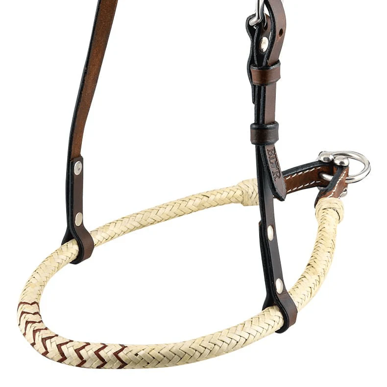 Buffalo Leather Rolled Rawhide Noseband for Horses with Stainless Steel Hardware - Image 2