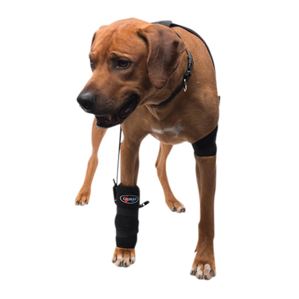 Caldera Pet Therapy Carpal Wrap with Therapy Gel, Large - Image 1