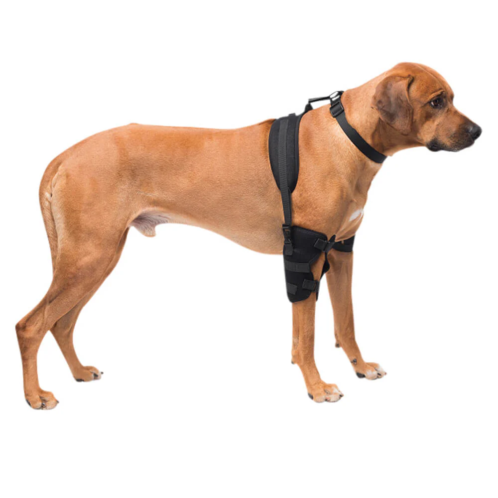 Caldera Pet Therapy Elbow Wrap with Therapy Gel, Large - Image 1