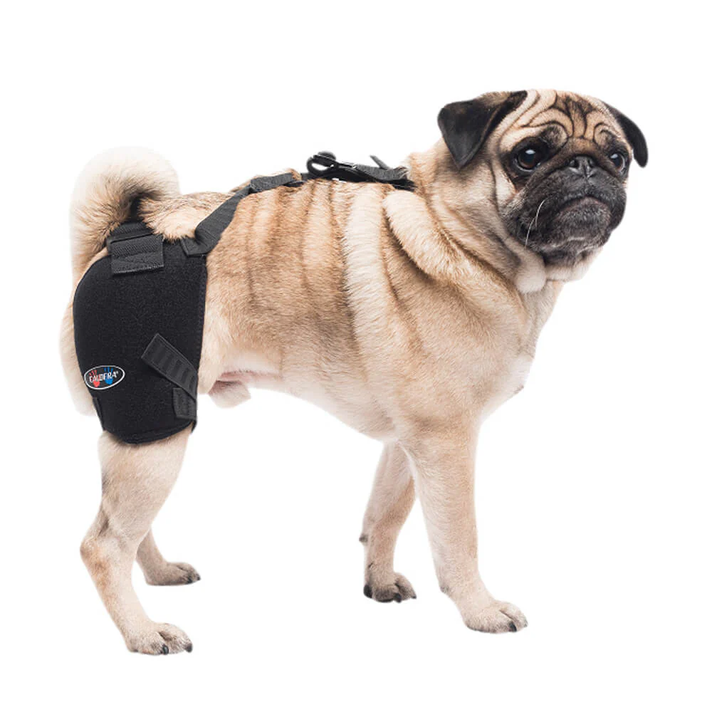 Caldera Pet Therapy Hip Wrap with Therapy Gel - Image 1