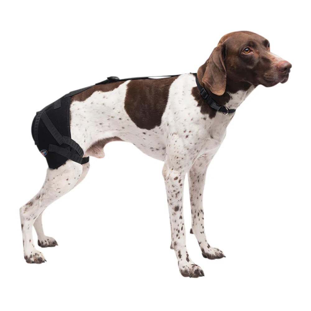 Caldera Pet Therapy Hip Wrap with Therapy Gel - Image 2