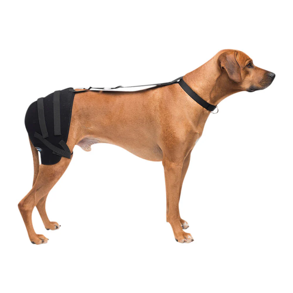 Caldera Pet Therapy Hip Wrap with Therapy Gel - Image 3