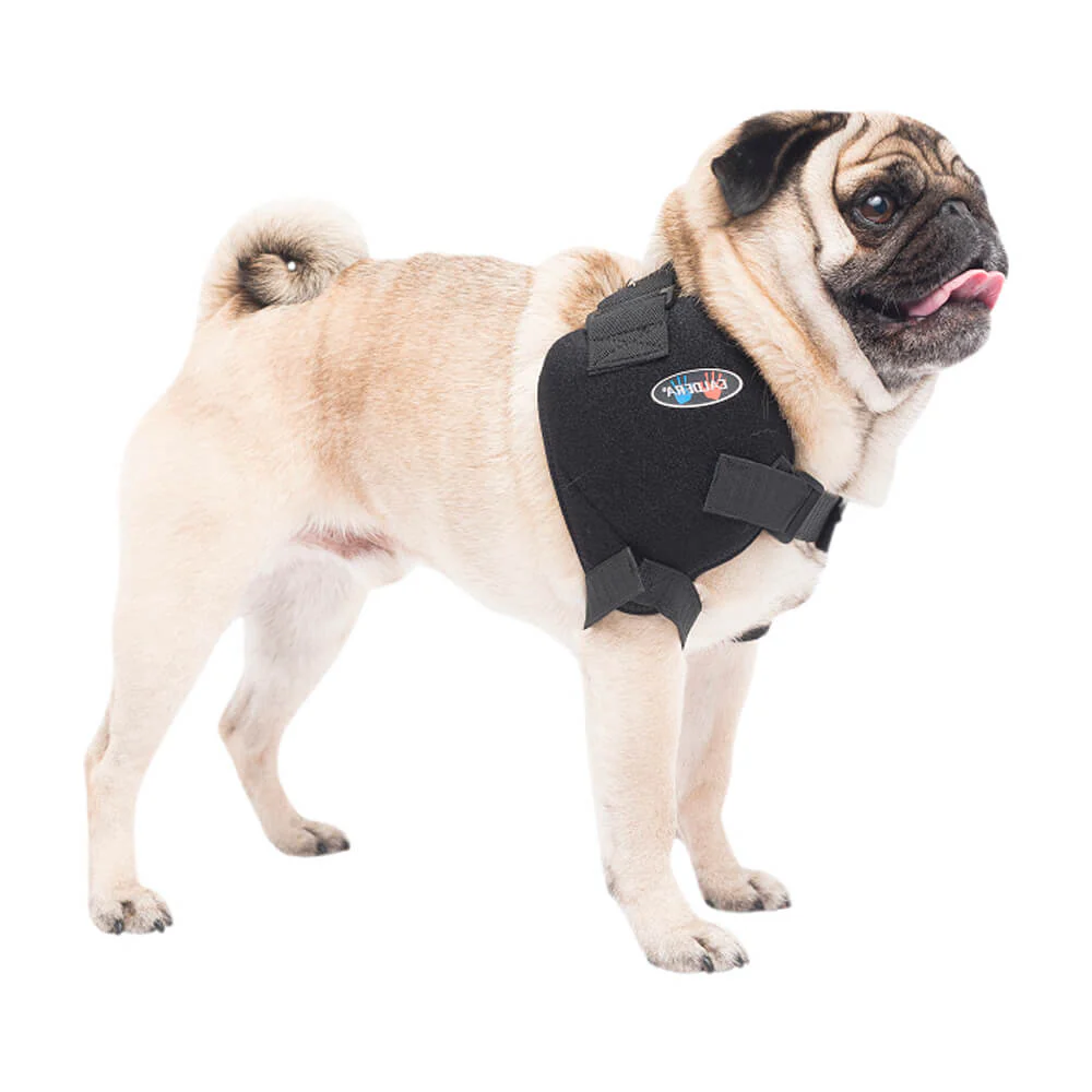 Caldera Pet Therapy Shoulder Wrap with Therapy Gel - Image 1