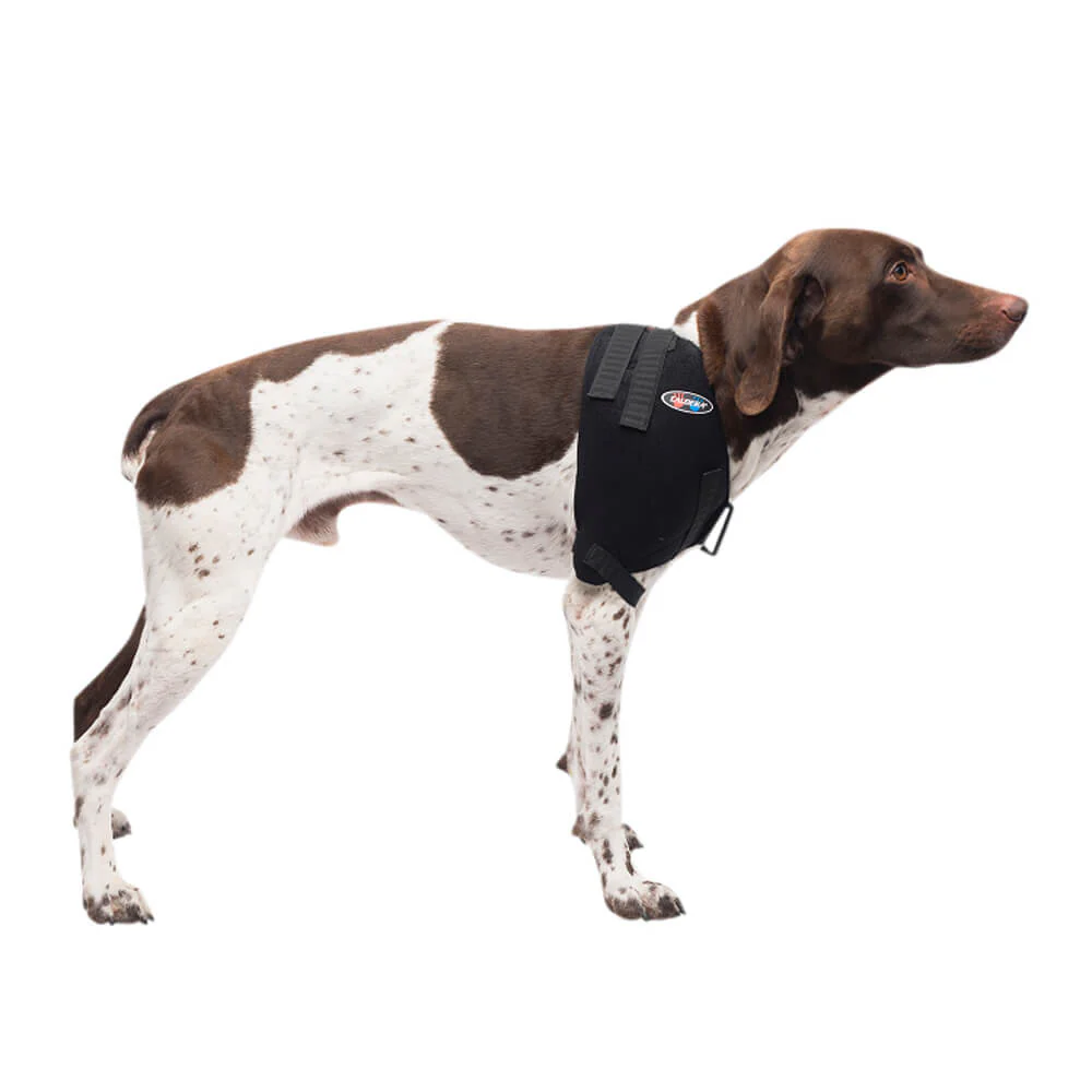 Caldera Pet Therapy Shoulder Wrap with Therapy Gel - Image 2