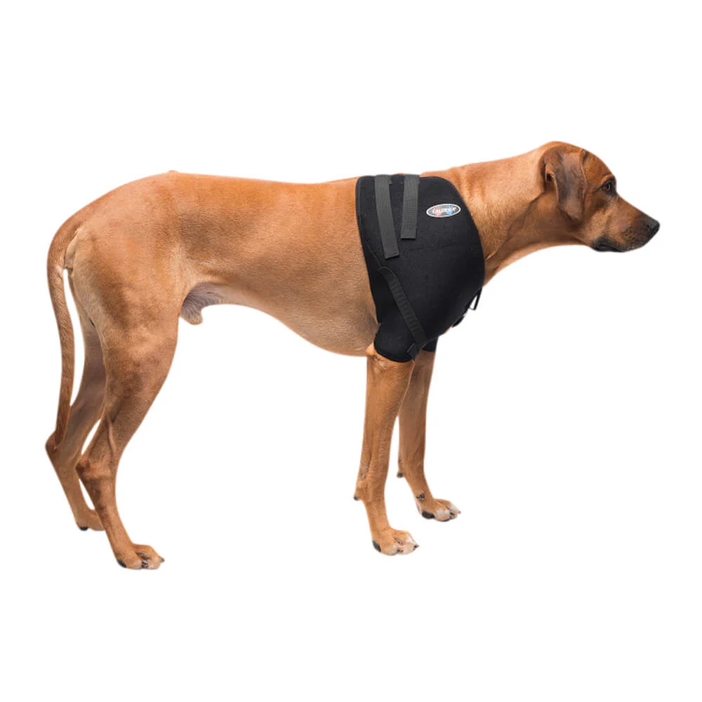 Caldera Pet Therapy Shoulder Wrap with Therapy Gel - Image 3