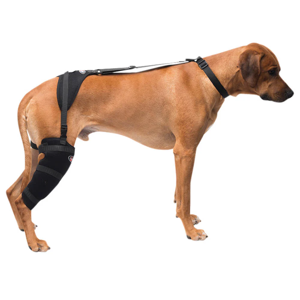 Caldera Pet Therapy Tall Stifle Wrap with Therapy Gel - Image 2
