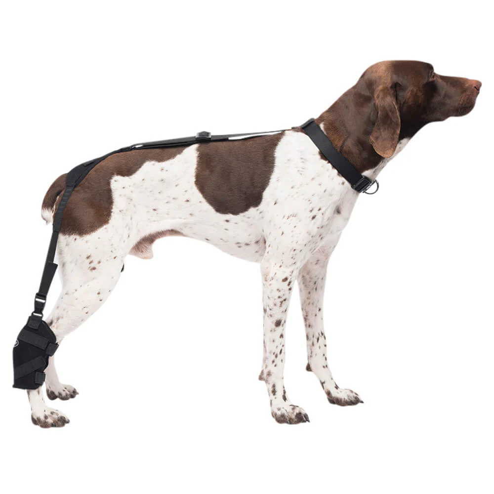 Caldera Pet Therapy Tarsal Wrap with Therapy Gel - Image 2