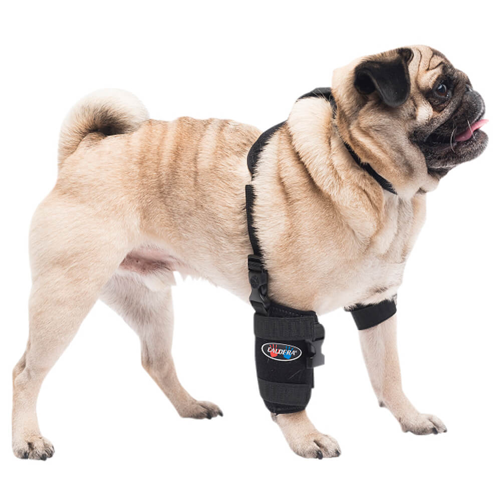 Caldera Pet Universal Therapy Carpal/Elbow Wrap with Therapy Gel - Image 1