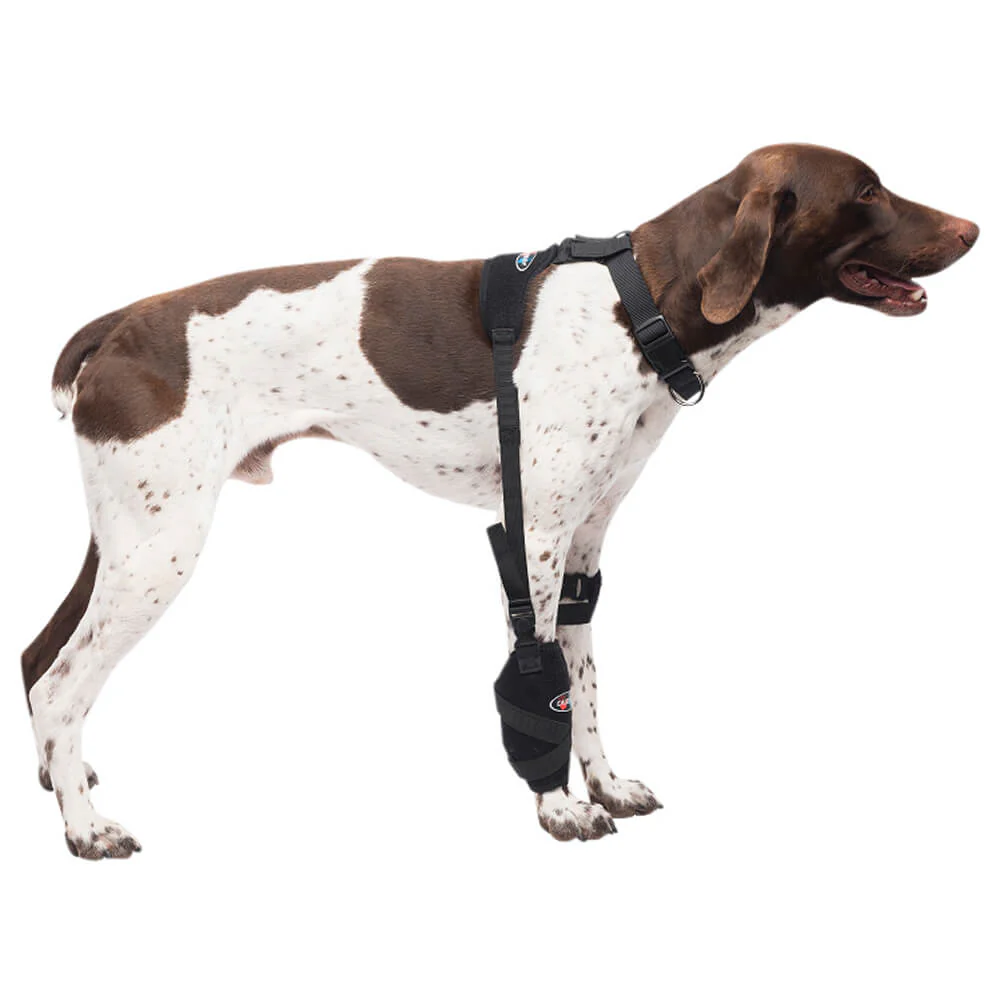 Caldera Pet Universal Therapy Carpal/Elbow Wrap with Therapy Gel - Image 2
