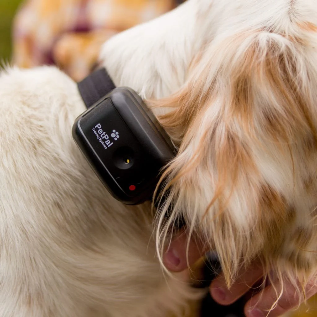 Canine Coach 360 Training E-Collar - Image 2