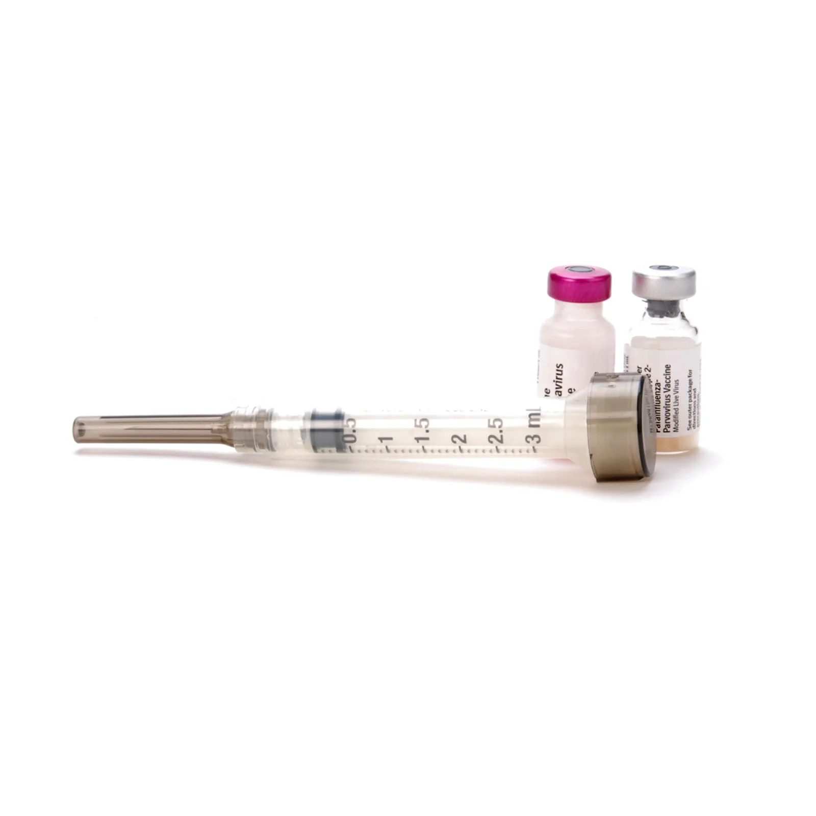 Canine Spectra 6 (6-Way) Dog Vaccine - Image 3
