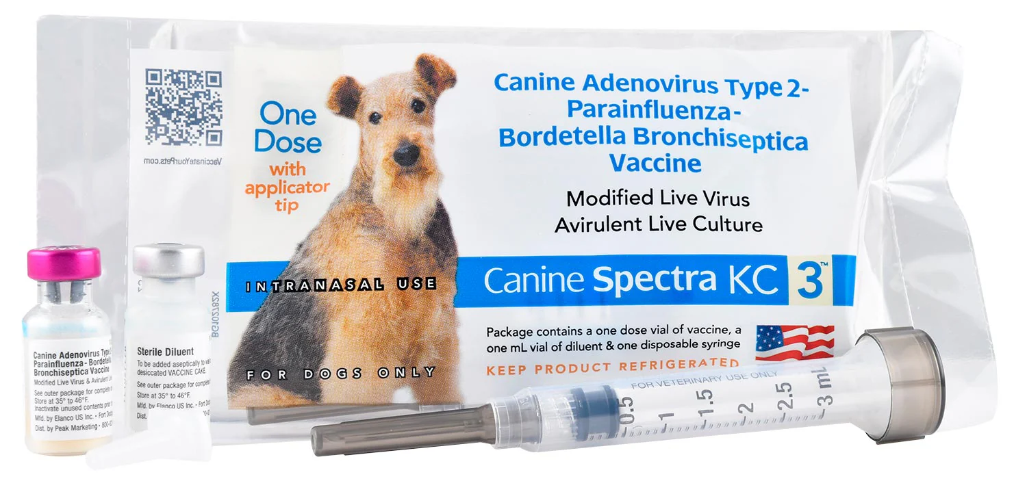 Canine Spectra KC 3 Intranasal Dog Vaccine, Single Dose with Applicator - Image 1