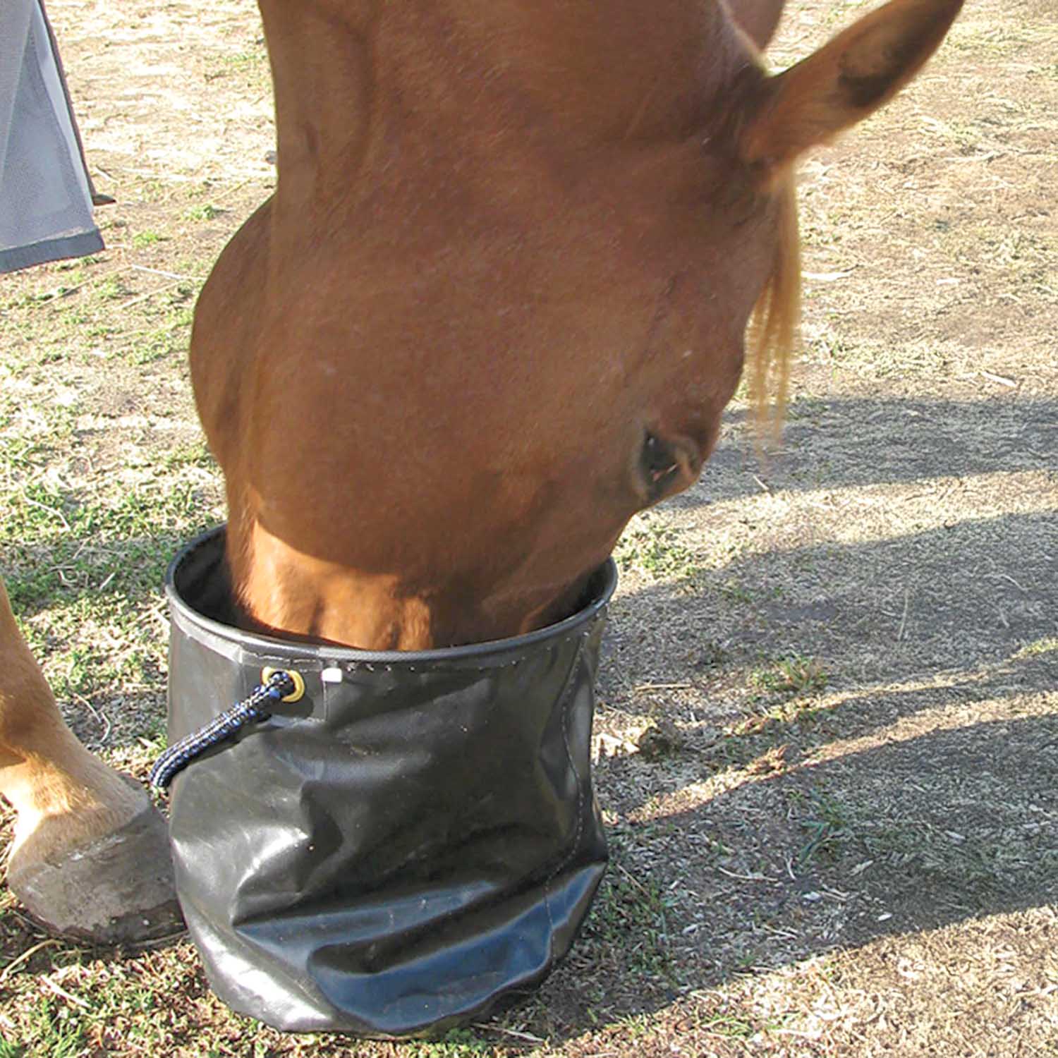 Cashel Collapsible Water Pail - Image 3