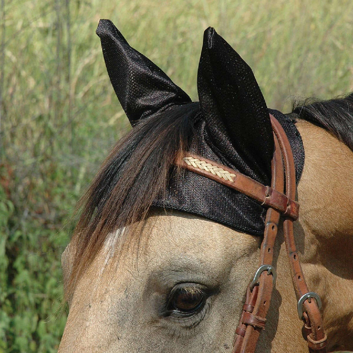 Cashel Comfort Ears Fly Protection for Horse Ears - Image 1