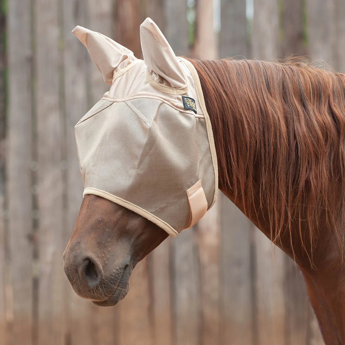 Cashel Economy Fly Mask with Ears, Gold - Image 1