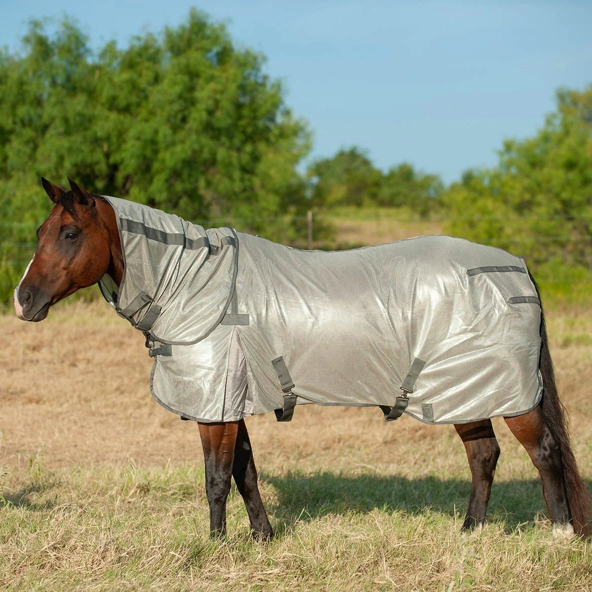 Cashel Economy Horse Fly Sheet with Neck Guard - Image 1