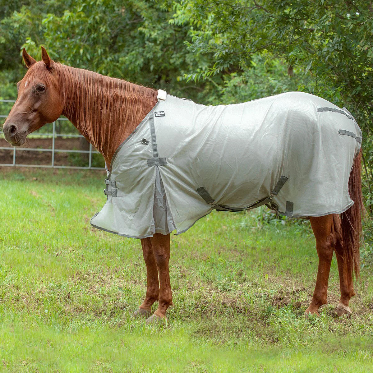 Cashel Economy Standard Neck Fly Sheet for Horses - Lightweight, UV & Insect Protection - Image 1