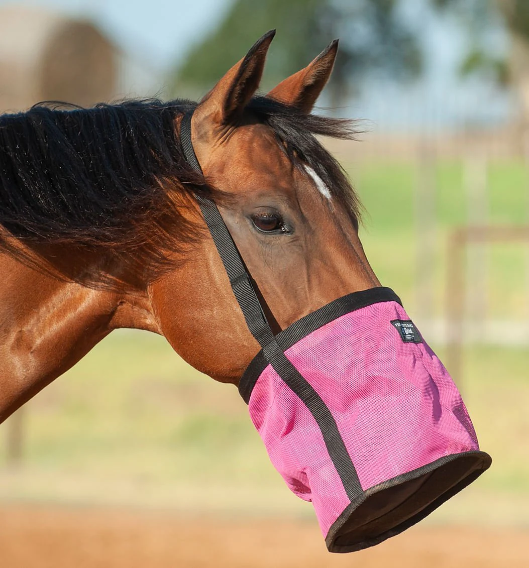 Cashel Feed Rite Bag - Image 3