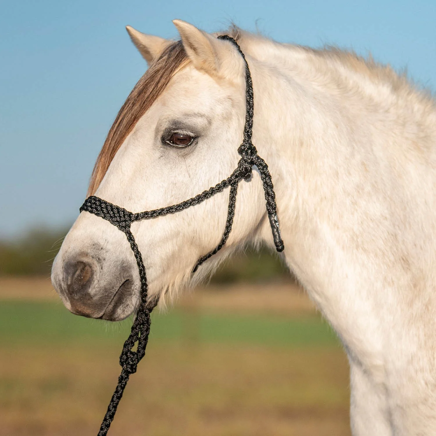 Cashel Flat Braid Pony Halter - Image 2